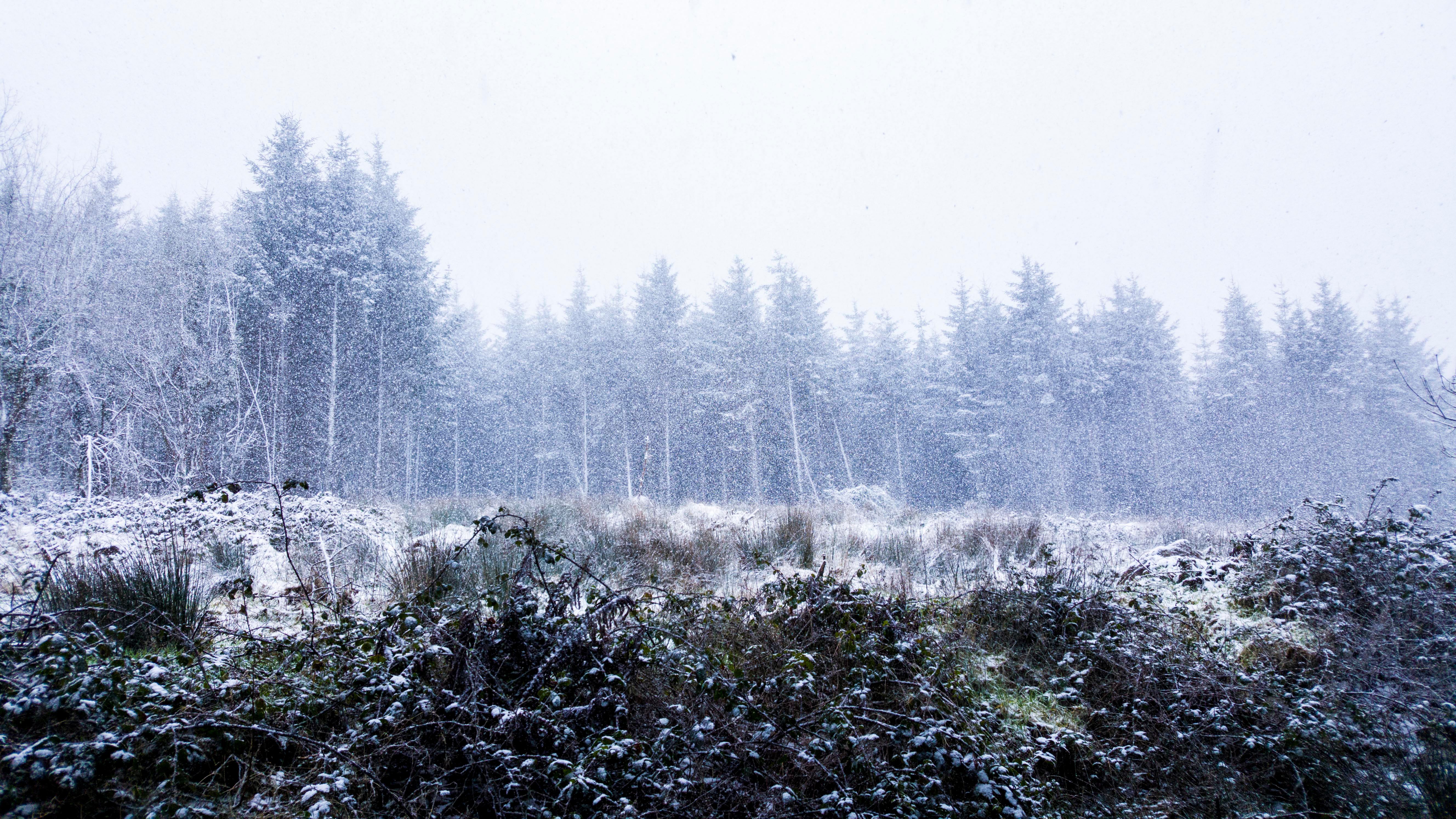 Snow photo in Limerick